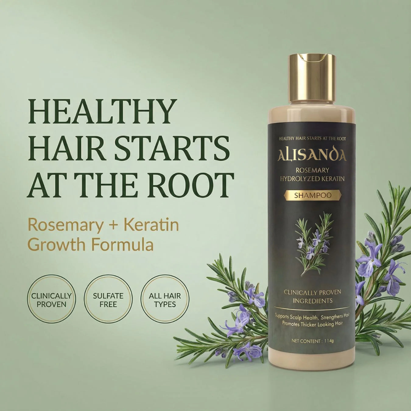 🔥LAST DAY 70% OFF🔥Alisanda® Rosemary Shampoo – Now Upgraded for Superior Hair Growth!