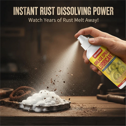 Anti-Rust Lubricant Spray & Rust Remover