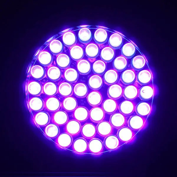 51 LED UV Blacklight Pet Urine Detector for Dog/Cat Urine(Battery not included)