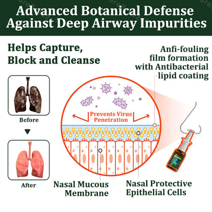 Alisanda® 6-in-1 Herbal BeePropolis Lung Cleanse Spray(⚡Fast Relief 🫁Long-Lasting Benefits)