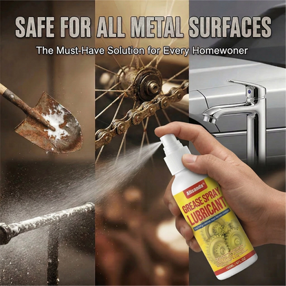 Anti-Rust Lubricant Spray & Rust Remover