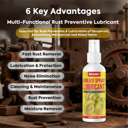 Anti-Rust Lubricant Spray & Rust Remover