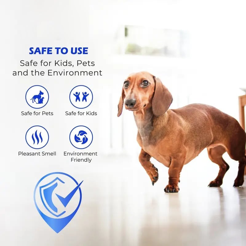 🔥Last Day 49% OFF - ✨🧴 Floor Restorer – Shine & Protect Instantly 🏠