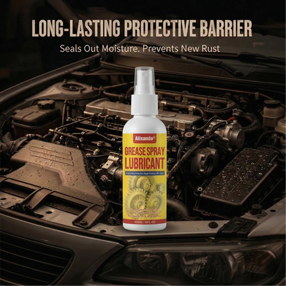 Anti-Rust Lubricant Spray & Rust Remover