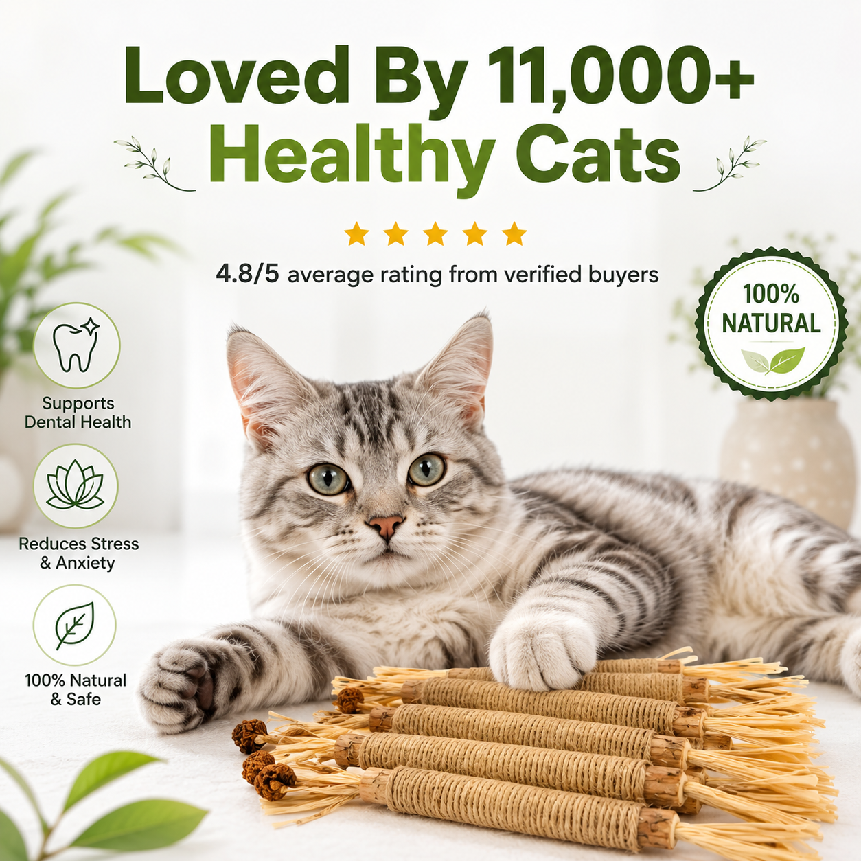Natural Silvervine Dental Sticks