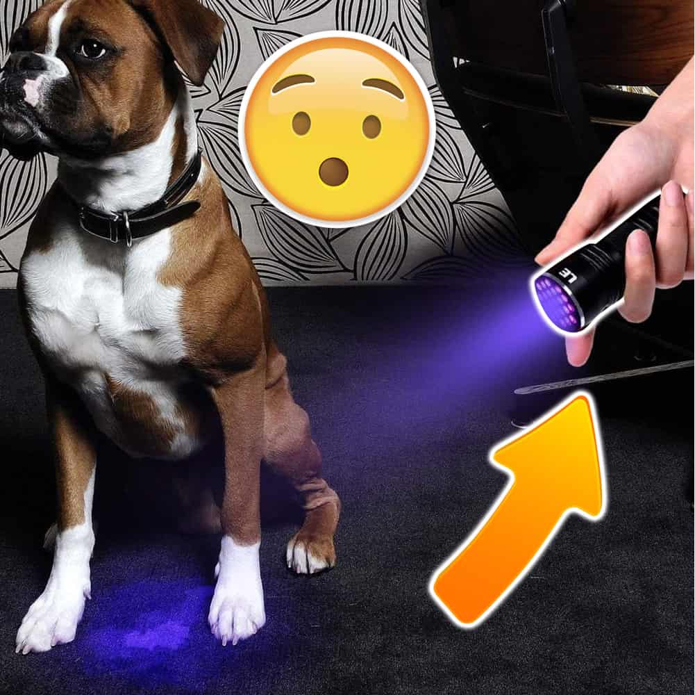 51 LED UV Blacklight Pet Urine Detector for Dog/Cat Urine(Battery not included)