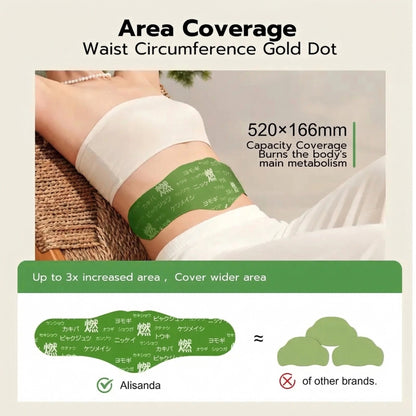 Japanese Herbal Balance Patch