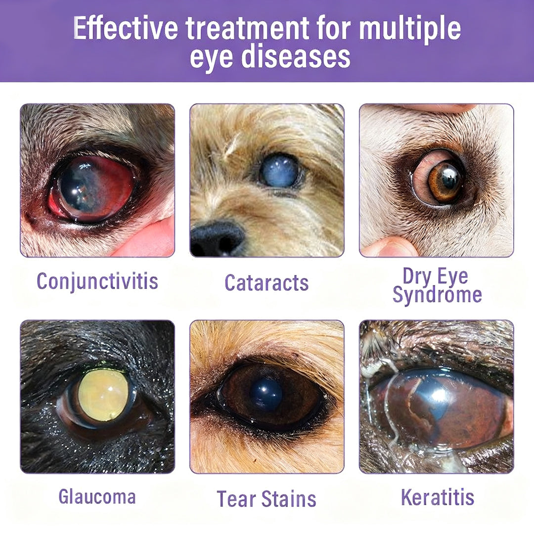 NanoCare Pet Eye Drops-Relieves Conjunctivitis, Dry Eyes, Cataracts, and Keratitis🐶