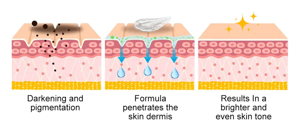 Alisanda® SpotErase Probiotic Shield Serum 22 c0a306df f8b4 4344 9367 1e74d34422d2