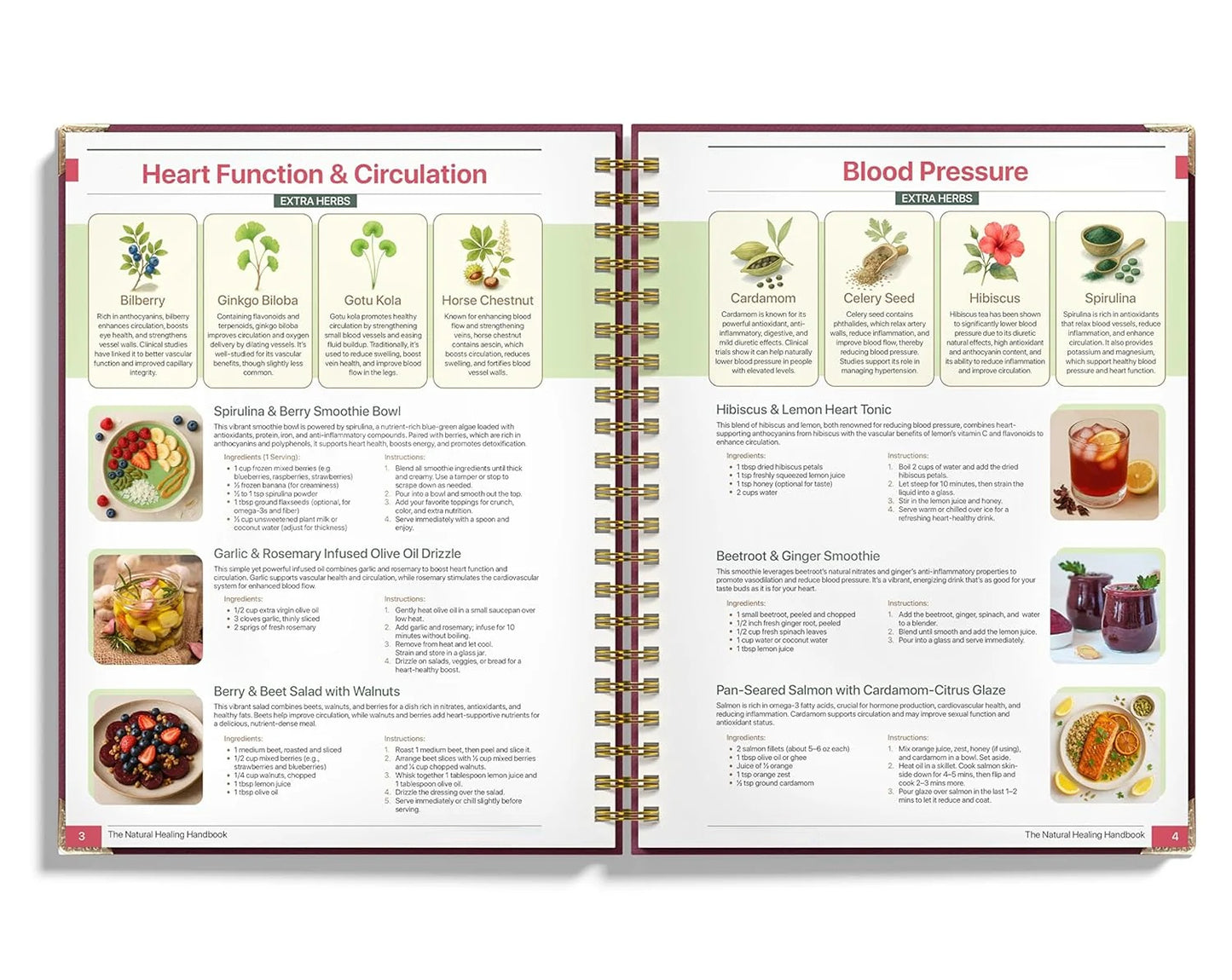 Natural Healing Handbook