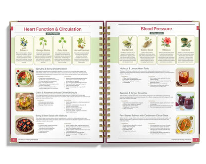 Natural Healing Handbook